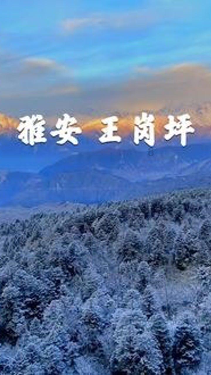 大脚车越野竞速