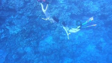 逃离空旷大街6