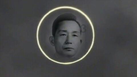 夏季的雨
