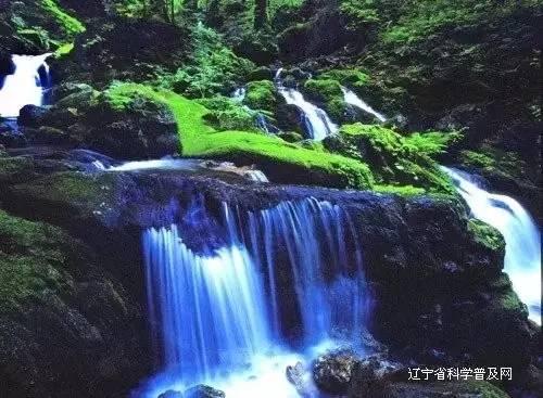 了解地铁宣传反虐动物广告遭举报,他们是出于什么理由?你认同吗?,体验知识星球的乐趣!