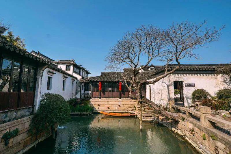 你俩怎么踢？亚洲杯F组末轮沙特vs泰国，小组第一将战韩国