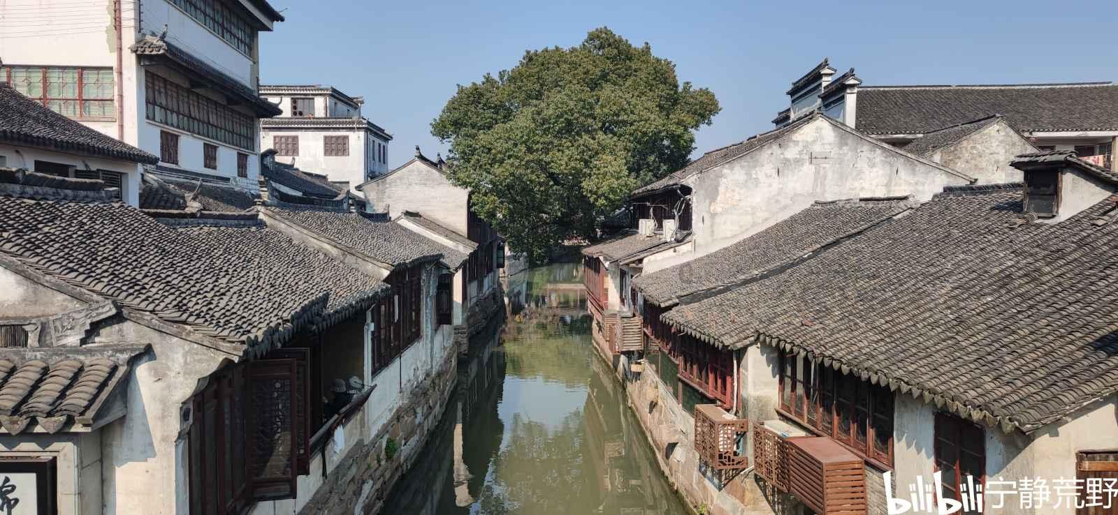 饥饿的哈利
